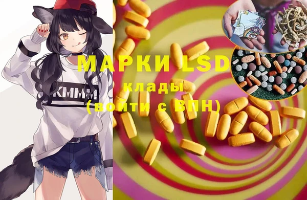 PSILOCYBIN Медвежьегорск