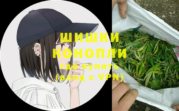 PSILOCYBIN Медвежьегорск