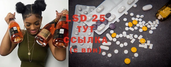PSILOCYBIN Медвежьегорск