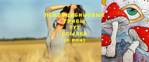 MESCALINE Медногорск